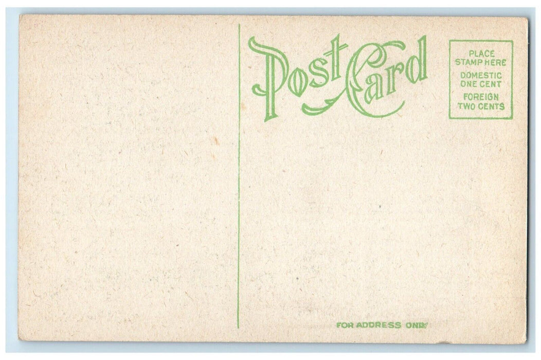 c1910's View Of Lake Warchusett Massachusetts MA, Cow Unposted Antique Postcard