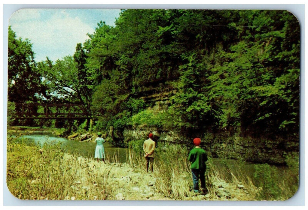 c1960 Fishing Scene Apple River Canyon Illinois State Park IL Vintage Postcard