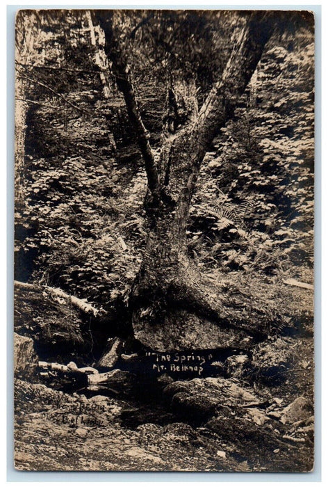 c1910's The Spring Mt. Belknap Mckenzie Hot Spring Oregon OR RPPC Photo Postcard
