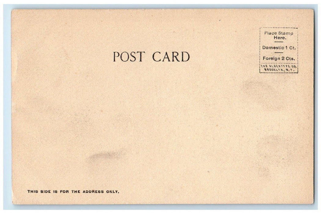 The Castle Miss Mason's School For Young Ladies Tarrytown New York NY Postcard