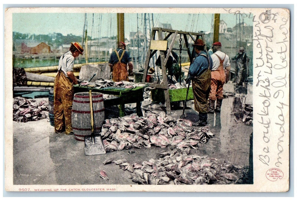 1905 View Of Weighing Up The Catch Gloucester Massachusetts MA Antique Postcard