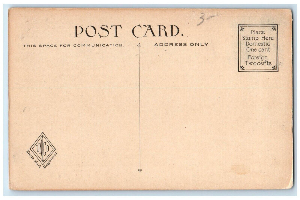Mountain Park View MT. Tom Trolley Railroad Massachusetts MA Unposted Postcard