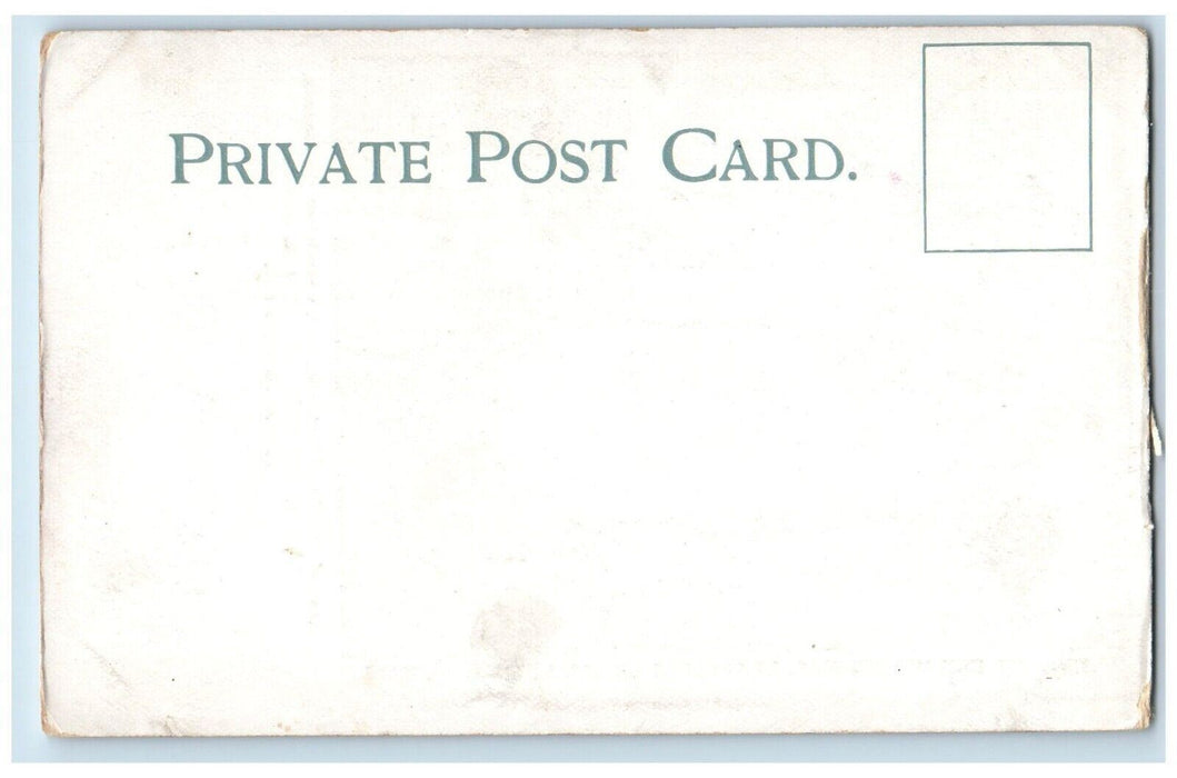 c1905 Line Minute Men Lexington Green Lexington Massachusetts Private Postcard