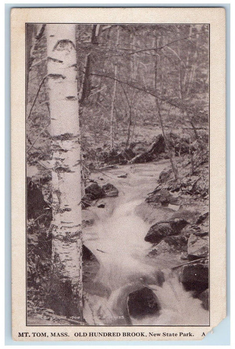 1911 MT. Tom Old Hundred Brook New State Park Holyoke Massachusetts MA Postcard