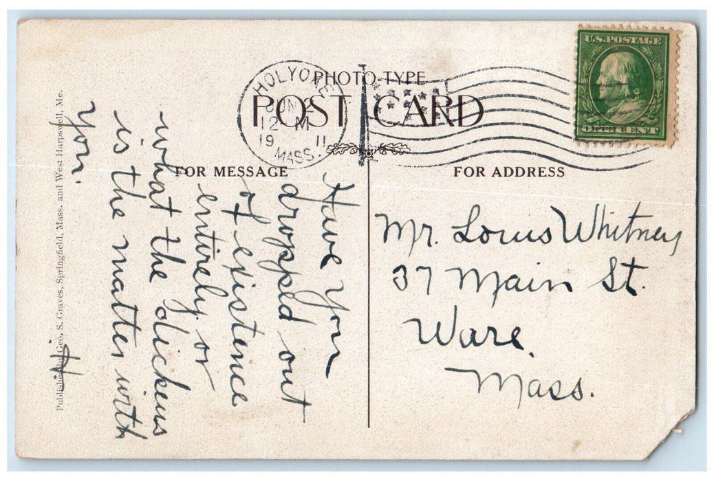 1911 MT. Tom Old Hundred Brook New State Park Holyoke Massachusetts MA Postcard
