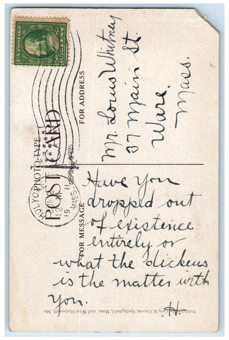 1911 MT. Tom Old Hundred Brook New State Park Holyoke Massachusetts MA Postcard
