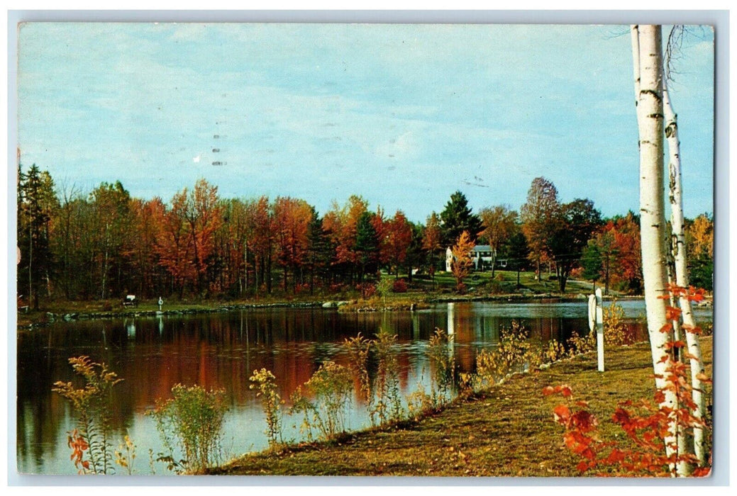 1961 A Serene Fall Scene Monadnock Region Massachusetts MA Gloucester Postcard