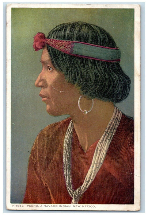 c1910 Pedro Navaho Northern Arizona Woman Indian New Mexico Fred Harvey Postcard