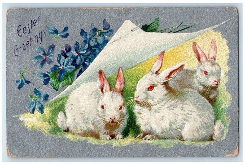 c1910's Easter Greetings Bunny Rabbit Flowers Tuck's Toronto Canada Postcard