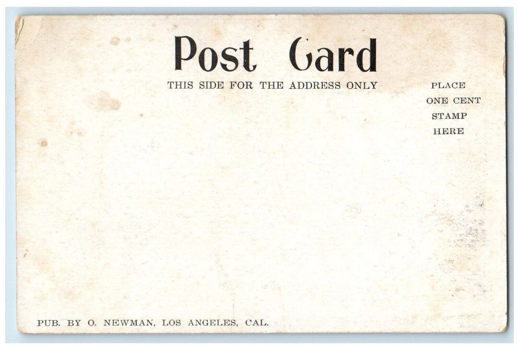 Memorial Arch Stanford University Destroyed By Earthquake 1906 CA Postcard