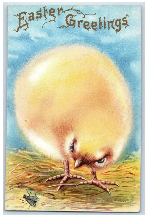 1909 Easter Greetings Giant Chick Fly Mauch Chunk Pennsylvania PA Postcard