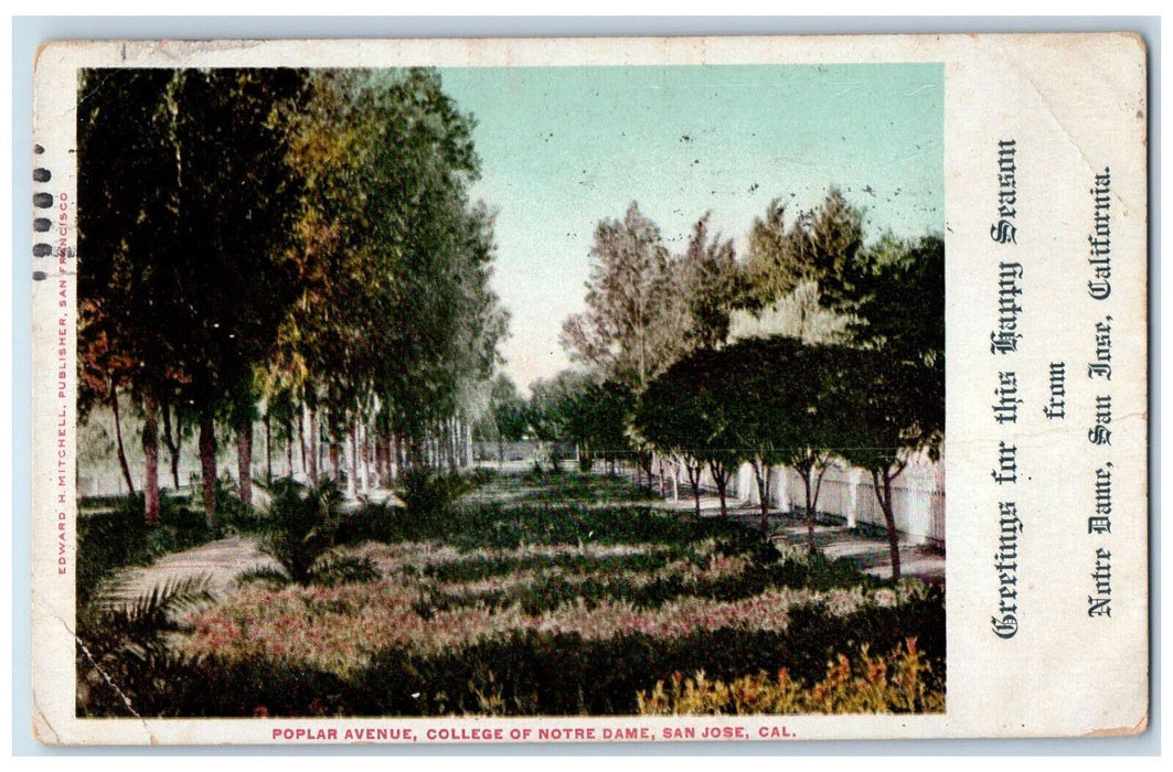 Poplar Avenue College Of Notre Dame San Jose California CA Antique Postcard