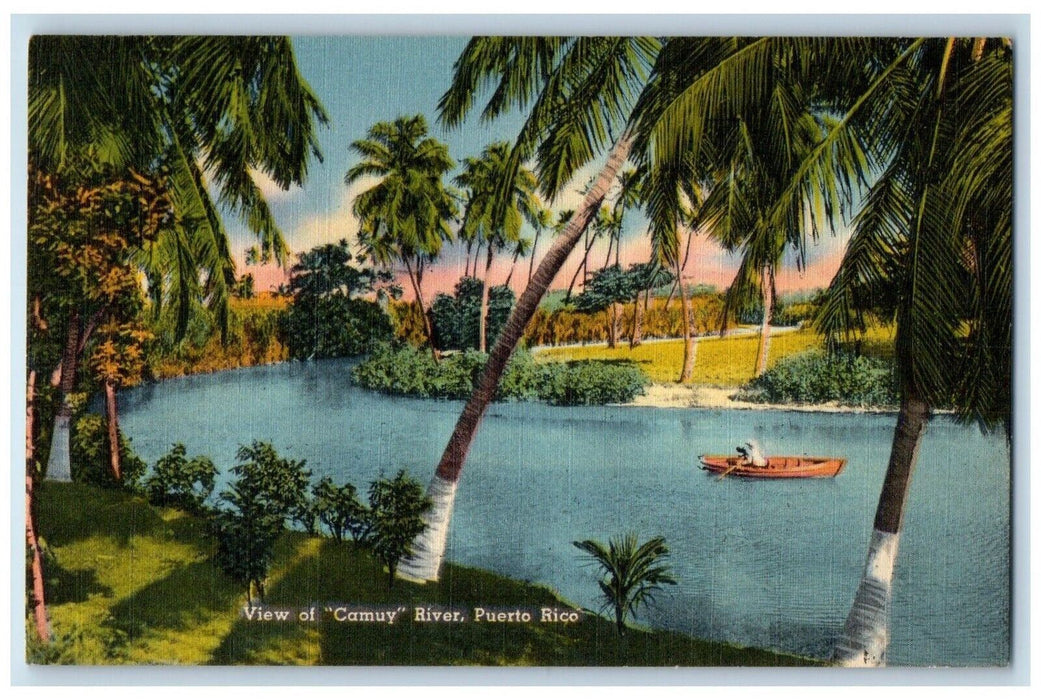 1951 View Camuy River Puerto Rico Winding Picturesque Town Camuy Canoe Postcard