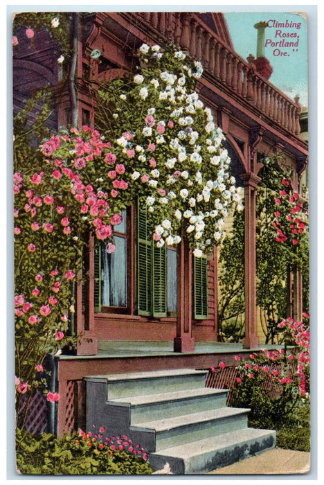 1913 Climbing Roses Flowers Garden Patio Scene Portland Oregon OR Postcard