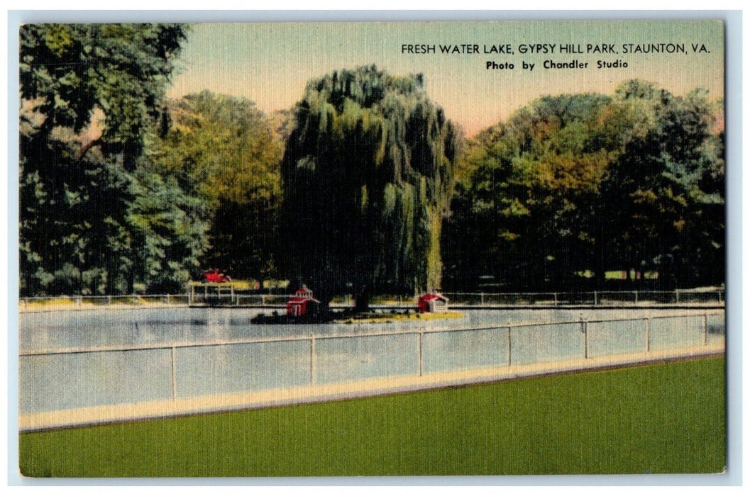 c1940 Scenic View Fresh Water Lake Gypsy Hill Park Staunton Virginia VA Postcard