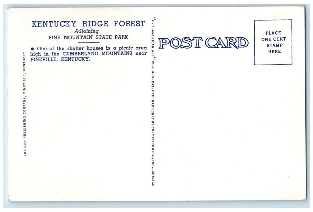 Kentucky Ridge Forest Where The Mountain Laurel Blooms Flowers KY Postcard