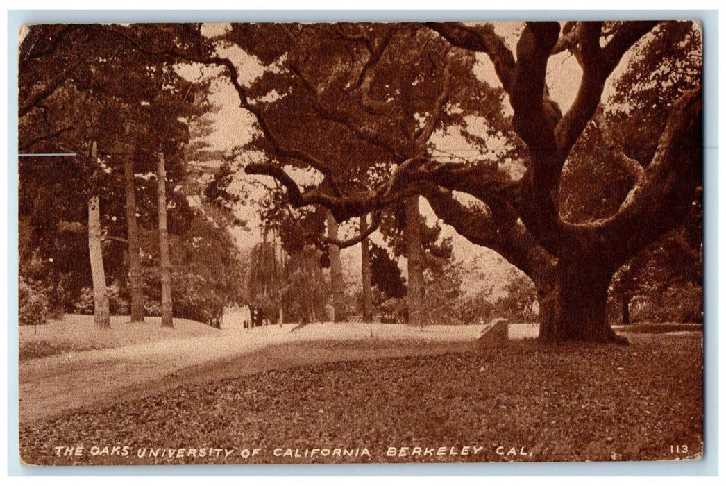 1911 The Oaks University Of California Berkeley Oakland CA Antique Postcard