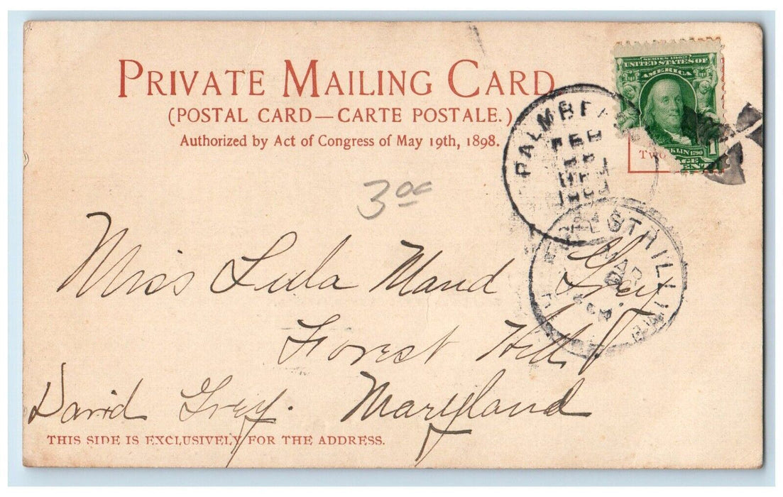 c1900's Golf Links at Palm Beach Florida FL Antique Posted PMC Postcard