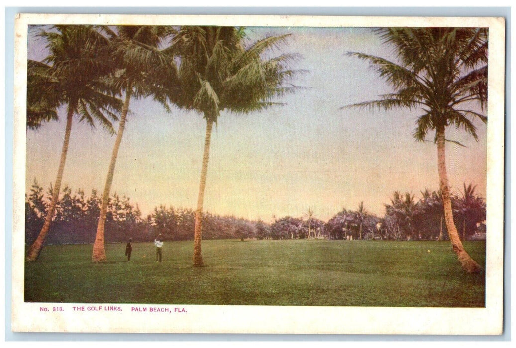 1898 Trees at The Golf Links Palm Beach Florida FL Unposted Postcard