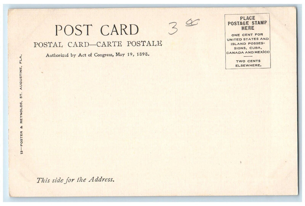 1898 Trees at The Golf Links Palm Beach Florida FL Unposted Postcard