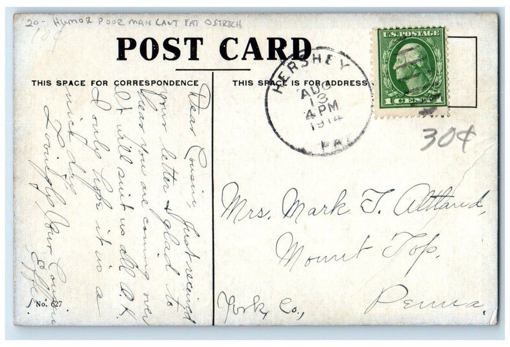 1914 Humor Poor Man Can't Eat Ostrich Hershey Pennsylvania PA Antique Postcard