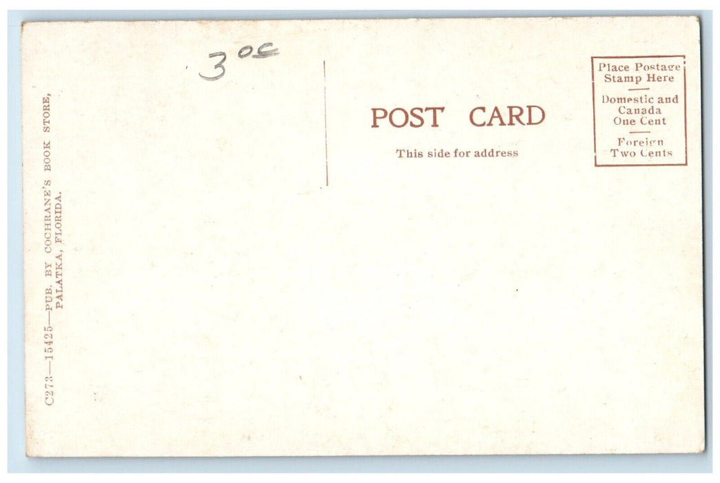 c1910 Bridge at The Royal Poinciana Hotel West Palm Beach Florida FL Postcard