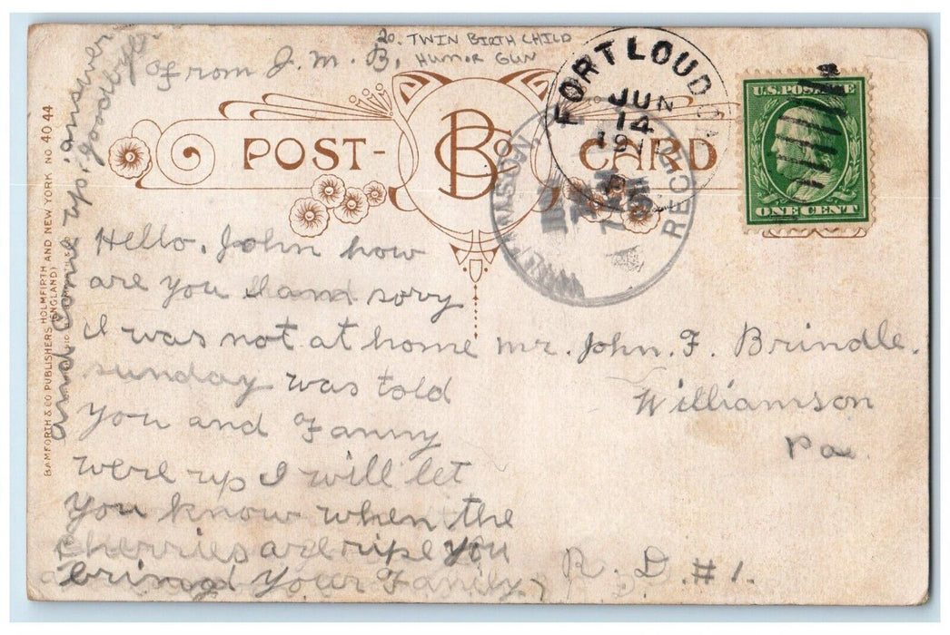 1911 Twin Birth Child Humor Gun Bamforth Fort Loudon Pennsylvania  PA Postcard
