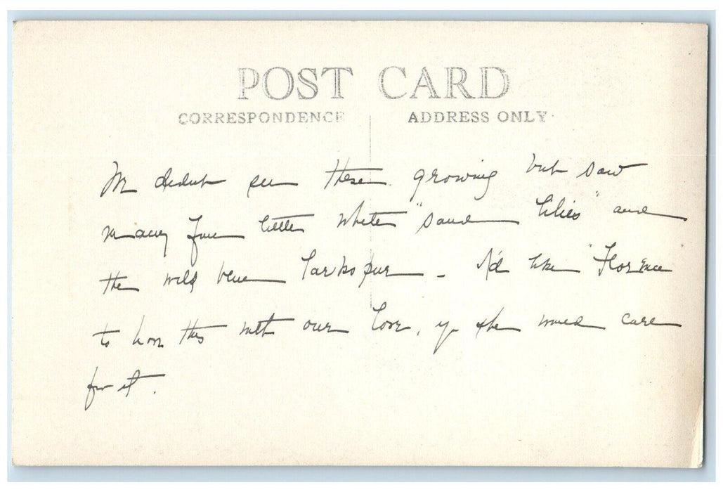 c1940's Clump Of Columbines Colorado's State Flower RPPC Photo Postcard