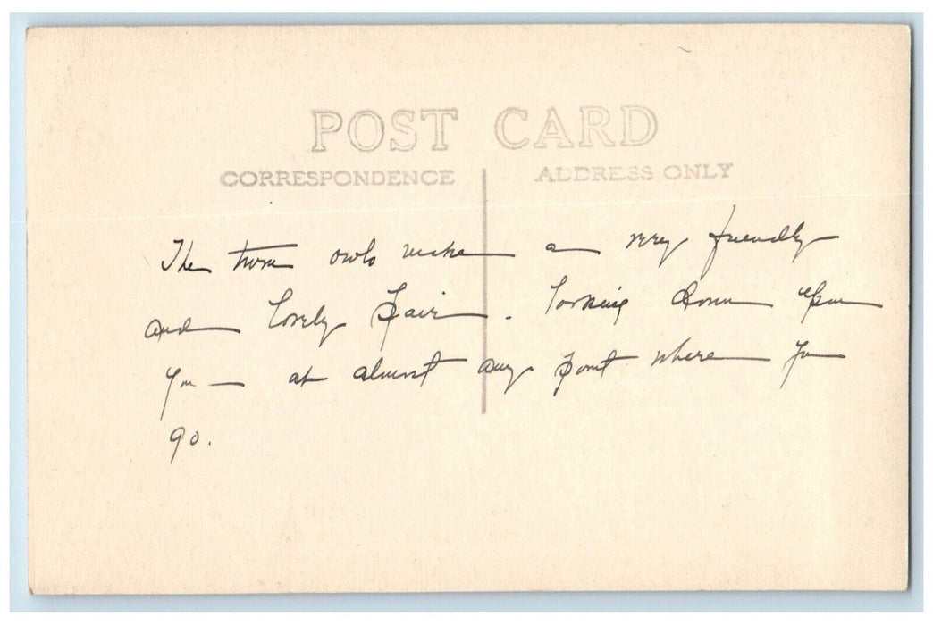 c1940's The Twin Owls Estes Park Colorado CO RPPC Posted Photo Postcard