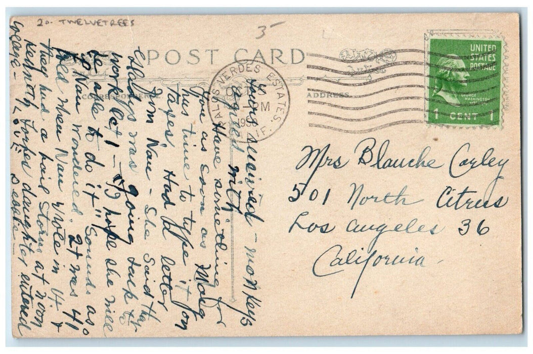 1950 Cute Dutch Fat Girl Lighter Looking For A Fellar Twelvetrees Postcard