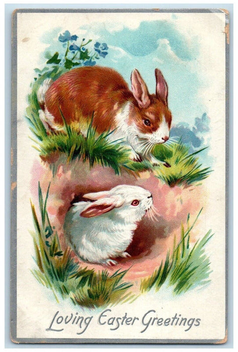 1910 Easter Greetings Bunny Rabbits Flowers Grass Otterville IL Tuck's Postcard