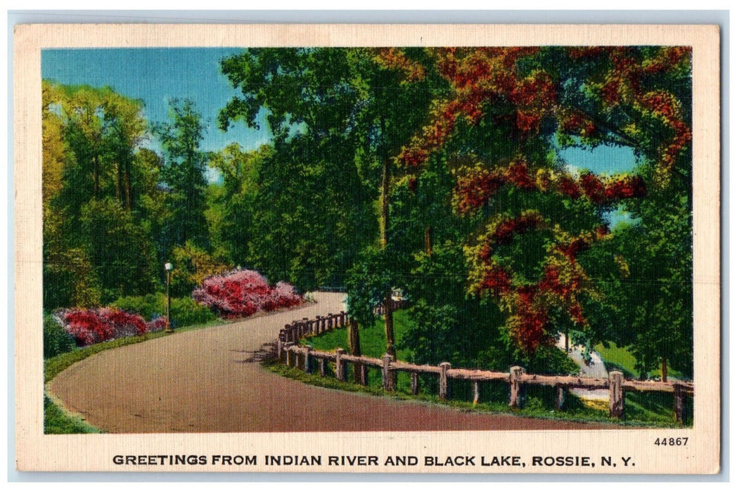 1956 Greetings from Indian River and Black Lake Rossie NY Hammond NY Postcard