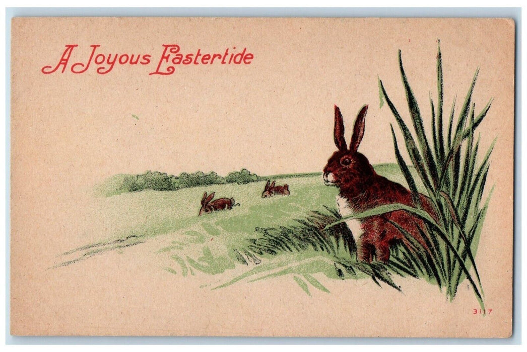 c1910's Easter Three Bunny Rabbits At Farm Grass Antique Postcard