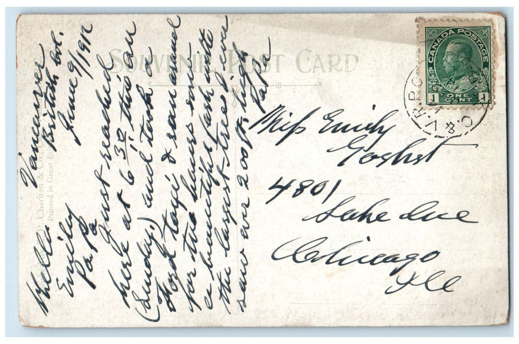 1912 The Big Cedar Tree Stanley Park Vancouver Canada Horse Carriage Postcard