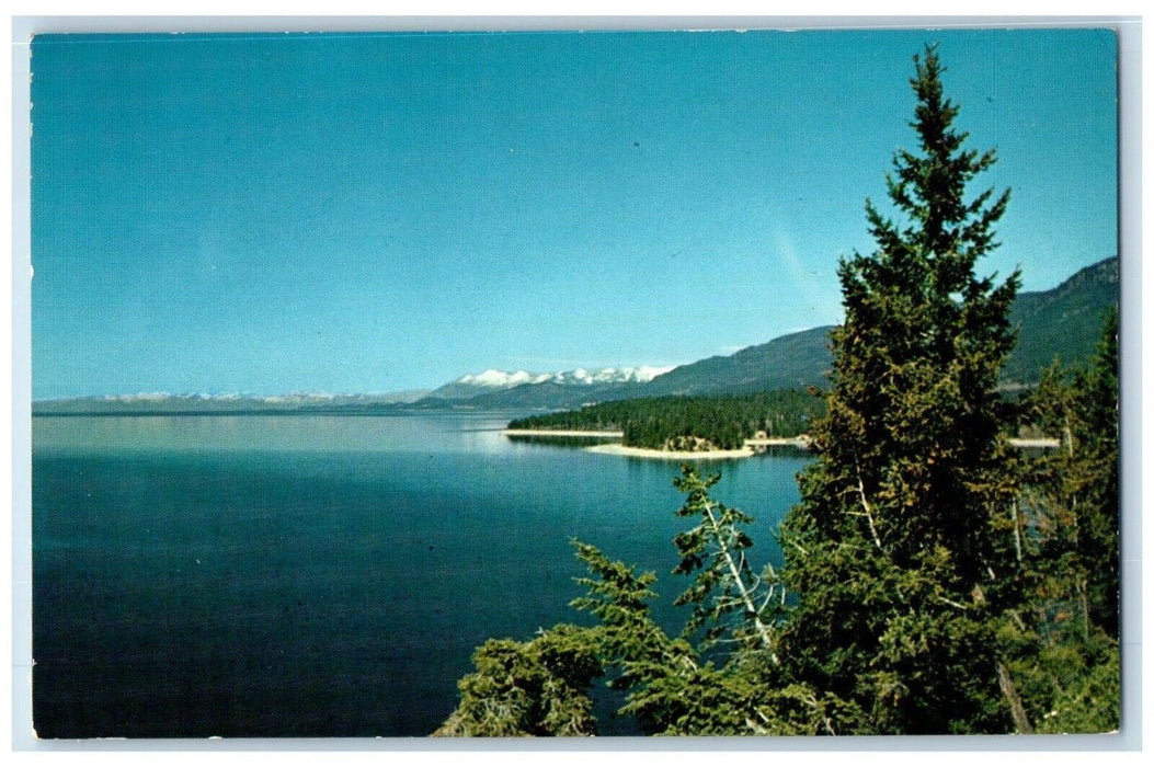 c1960's Flathead Lake West of Glacier National Park Montana MT Postcard