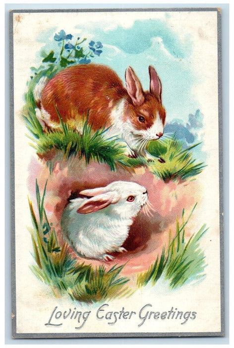 1910 Easter Greetings Bunny Rabbit Flowers Tuck's Posted Antique Postcard