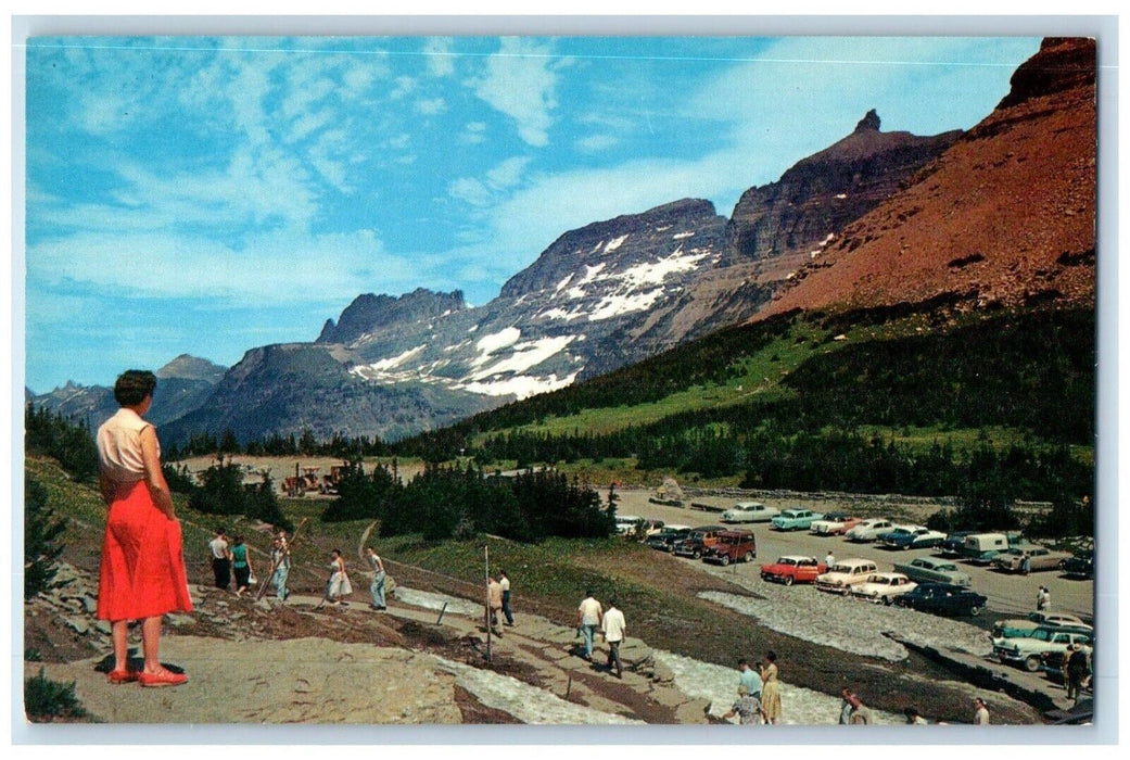 c1960's Summit of Logan Pass Glacier National Park Montana MT Postcard