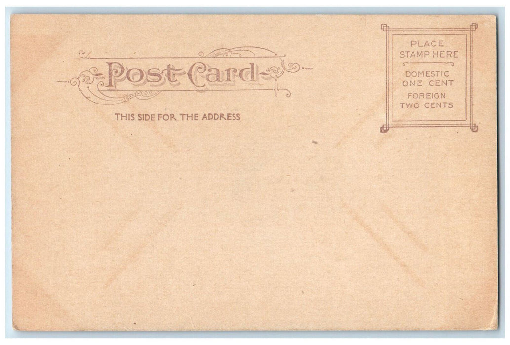 c1905 Star Shaped Flower Garden, City Park Fort Worth Texas TX Postcard