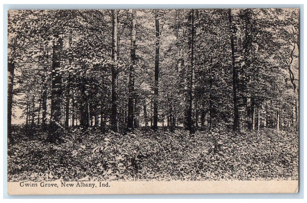 c1940's Gwins Grove New Albany Indiana IN Unposted Vintage Postcard