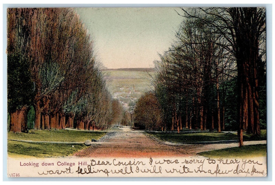 1907 Looking Down Collage Hill School Dirt Road Lined Trees New York NY Postcard