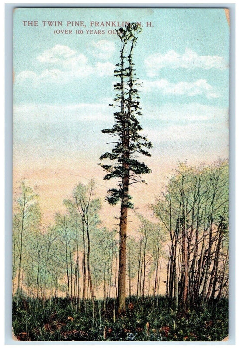 c1910 Scenic View Twin Pine Franklin New Hampshire NH Vintage Antique Postcard
