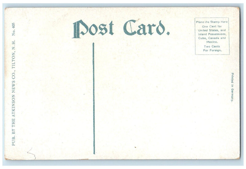 c1910 Scenic View Twin Pine Franklin New Hampshire NH Vintage Antique Postcard