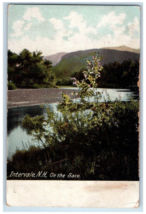 c1905 Scenic View On the Saco Intervale New Hampshire Antique Vintage Postcard