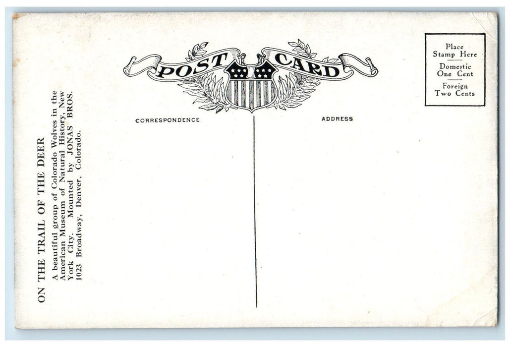 c1950's On The Trail Of The Deer Colorado Wolves American Museum NY Postcard