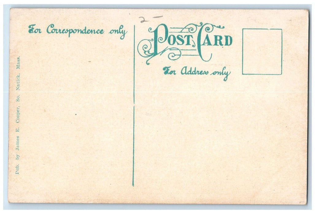 c1910's John Eliot Oak Main Street View Natick Massachusetts MA Antique Postcard