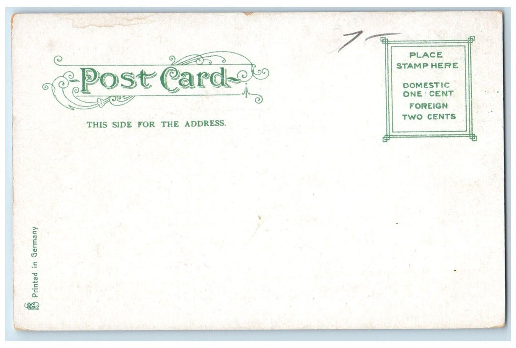 c1905 City Hotel Building Hanson & Co. Taunton Massachusetts MA Antique Postcard