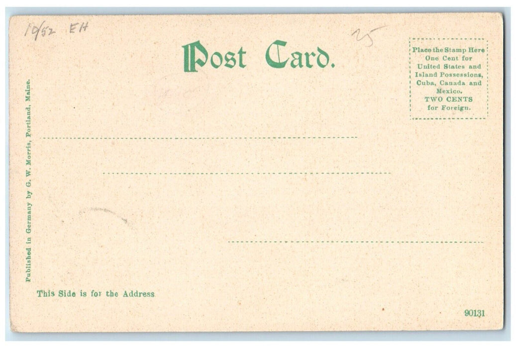 1905 Scenic View Webster Lake Franklin New Hampshire NH Vintage Antique Postcard