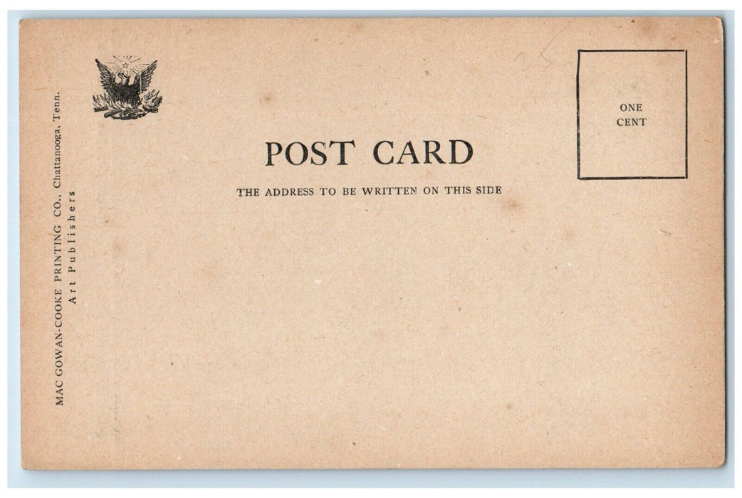 1905 Scenic View Sunset Rock Lookout Mountain Chattanooga Tennessee TN  Postcard