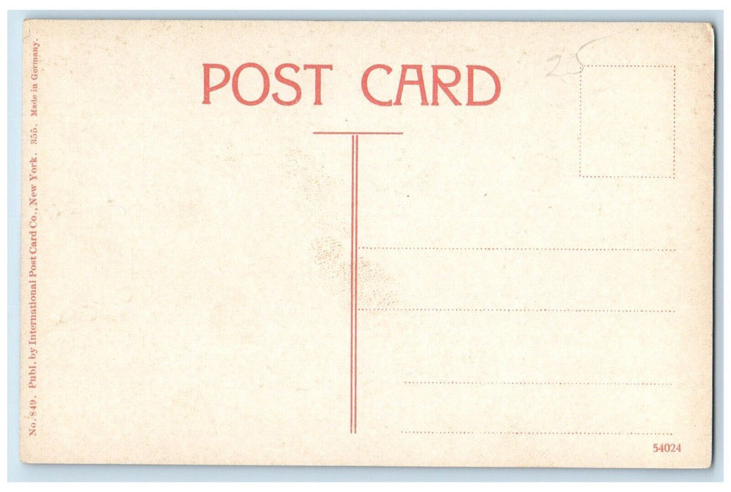 c1910 Canoeing Boat Lake Centennial Park Nashville Tennessee TN Vintage Postcard