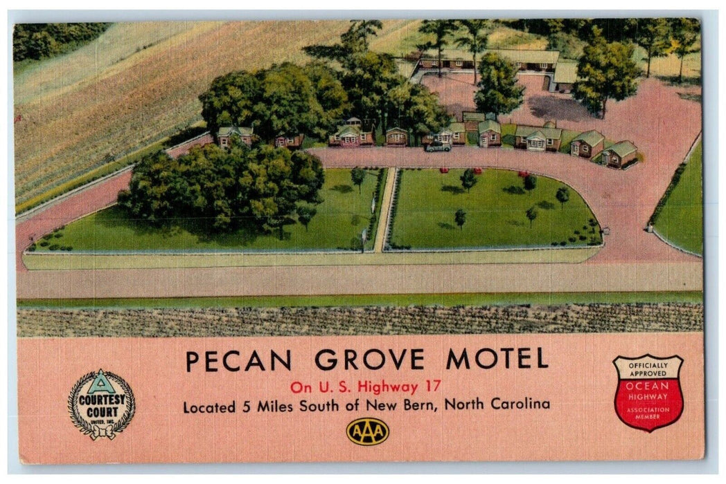 c1940 Pecan Grove Motel Courtesy Court Highway New Bern North Carolina Postcard